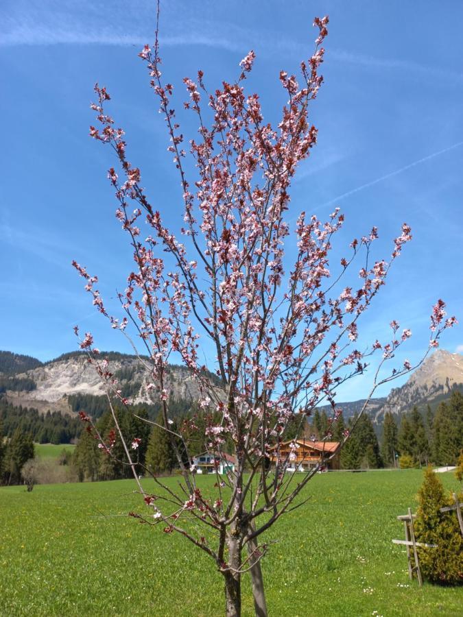 Am Schwand Leilighet Grän Eksteriør bilde